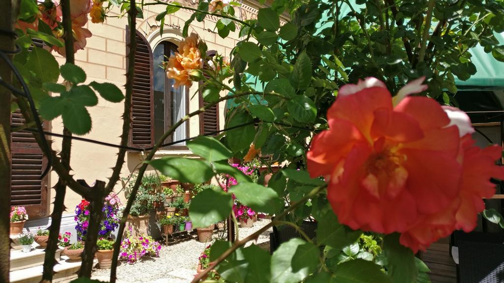 La Chicca B&B Siena Buitenkant foto